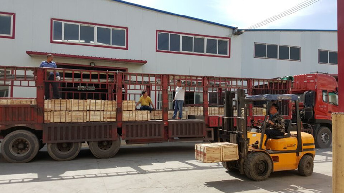 山西客戶手拉葫蘆裝車圖