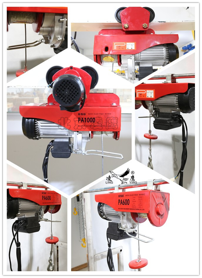 凌鷹微型電動葫蘆